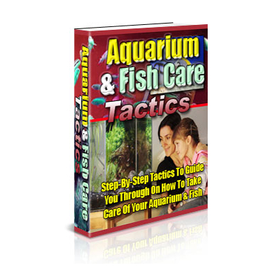 aquarium