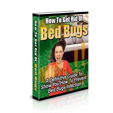 bedbugs